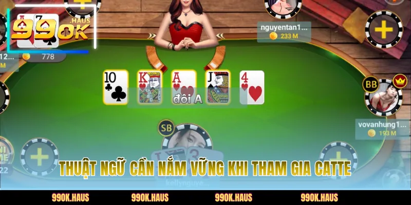 Review thuật ngữ cần nắm rõ khi tham gia Catte
